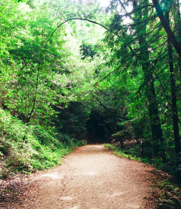 Make Your Words Count