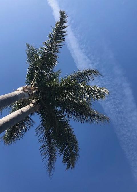 From My House To Yours