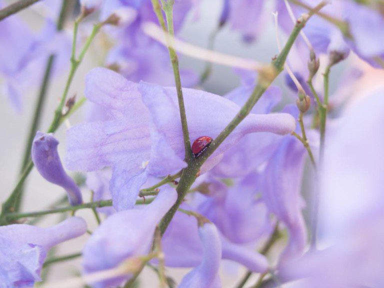 We are breaking up, Covid. It’s not me, it’s you.