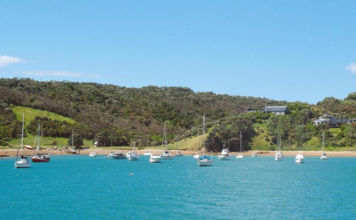 Waiheke Island 10 Day In New Zealand