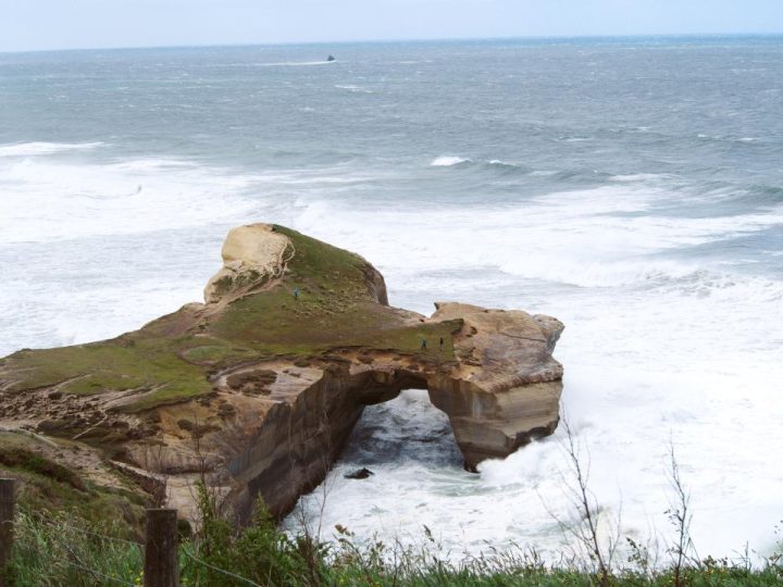 10 Days In New Zealand