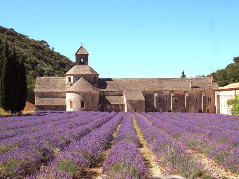 5 Days in the South of france