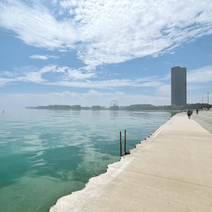 See The Best Of Chicago In 2 Days