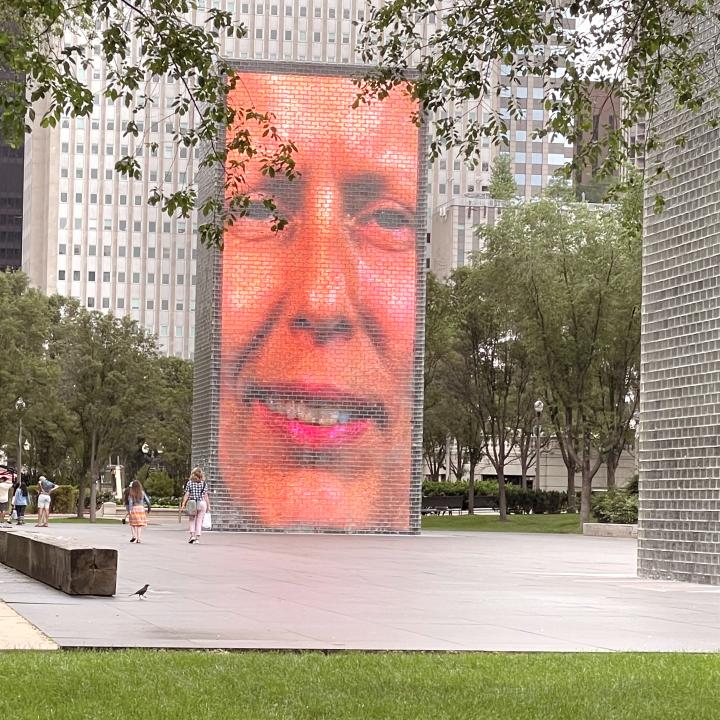 See The Best Of Chicago In 2 Days- millennial park