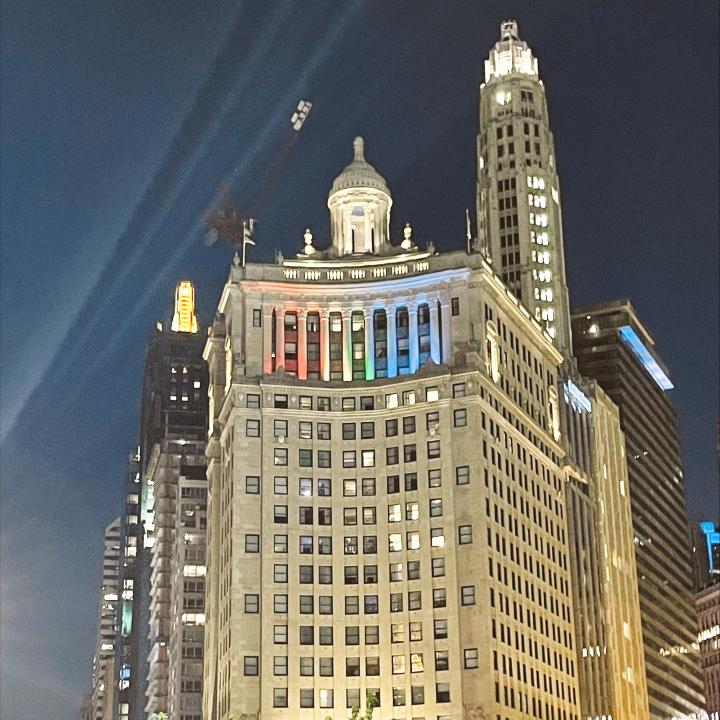 See The Best Of Chicago In 2 Days