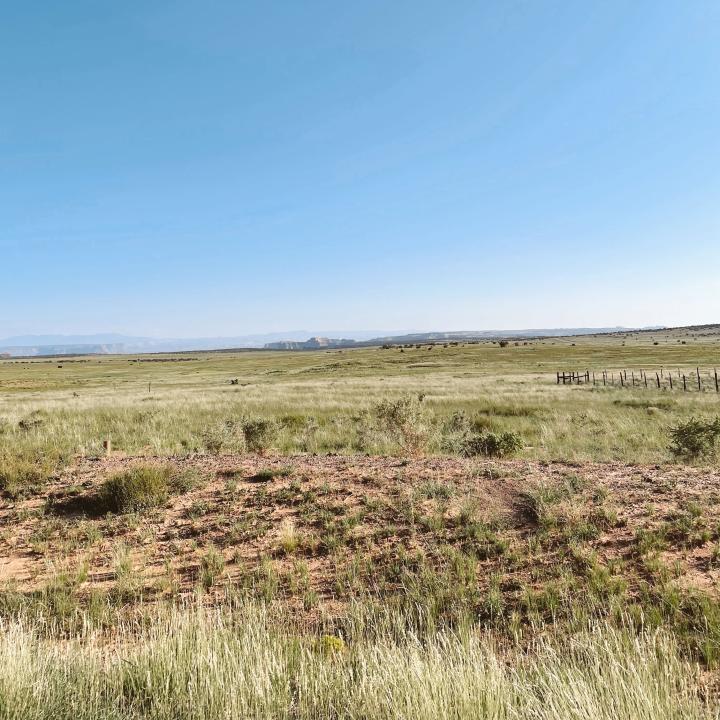 The Best Things To Do In Moab