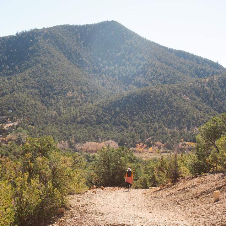 A trail in the mountains of Santa Fe.