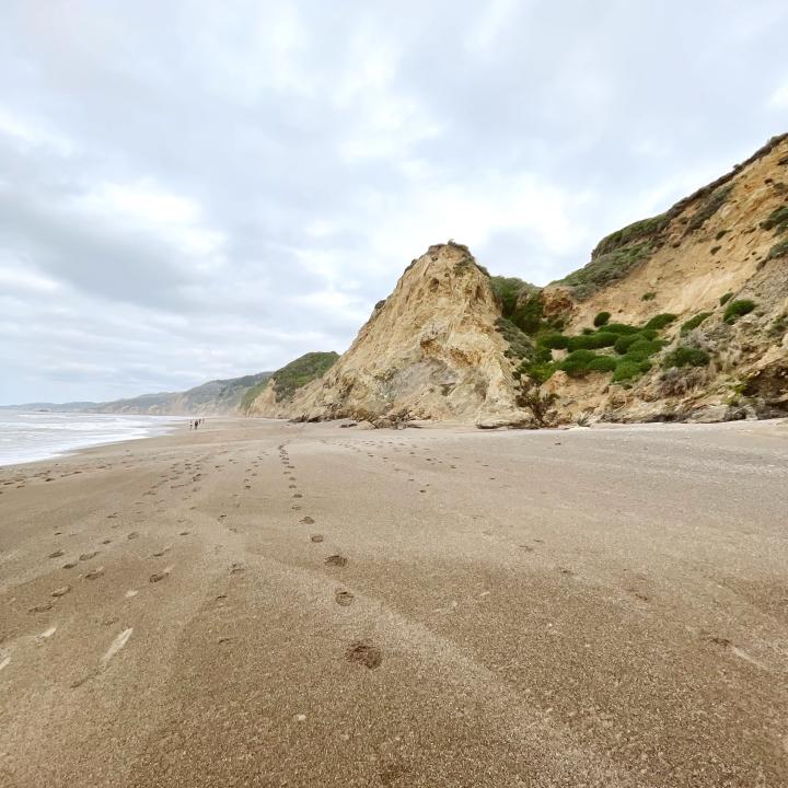 Top Bay Area Hikes: Alamere Falls