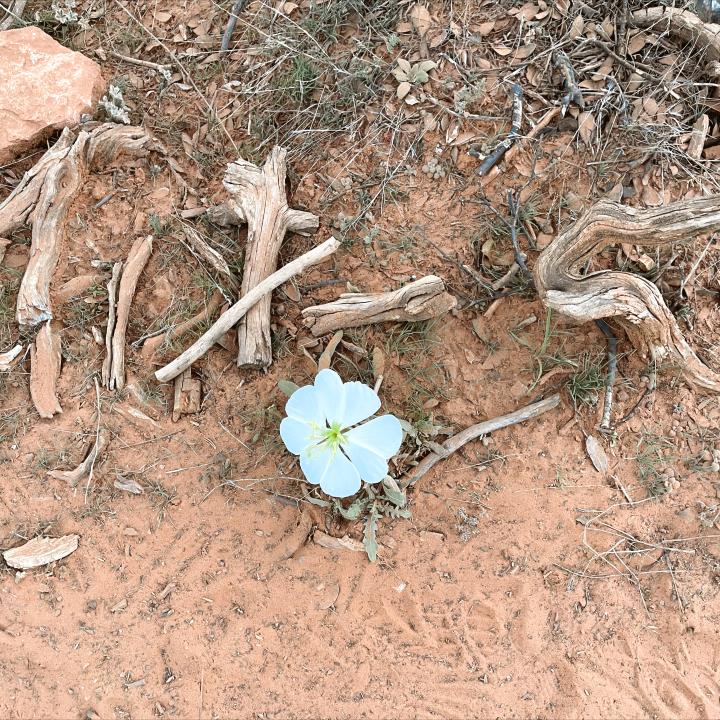 Hike To Devil's Bridge