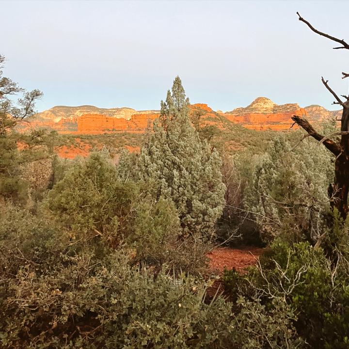 Hike To Devil's Bridge