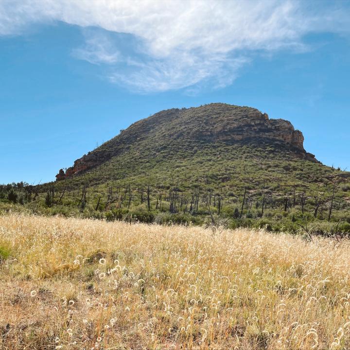 Soldier Pass & Brins Mesa