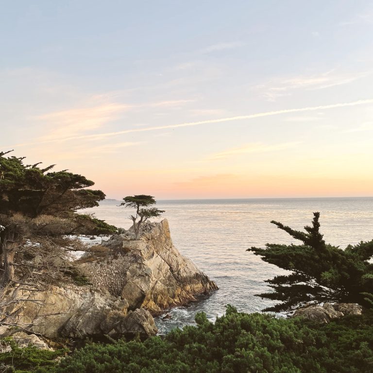 The Lone Cypress tree on the 17 mile drive
