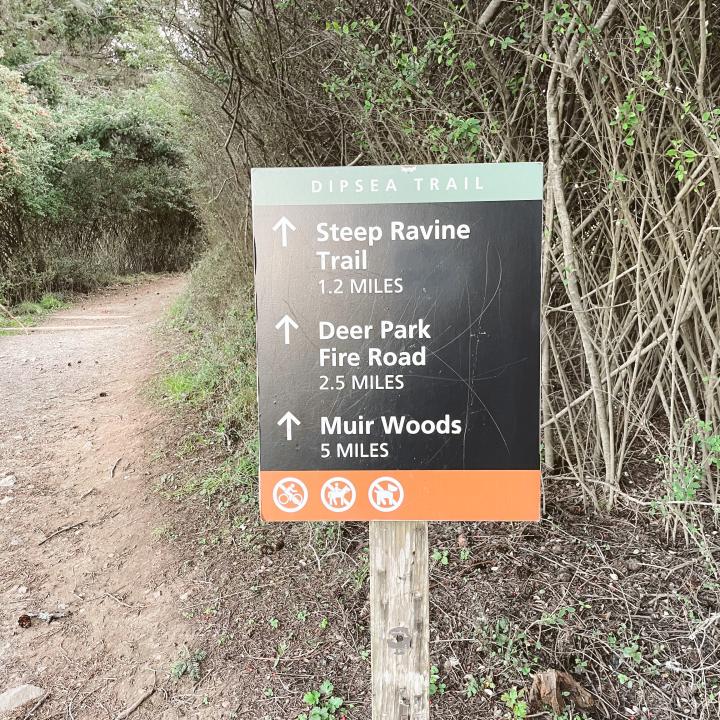 Dipsea Trailhead