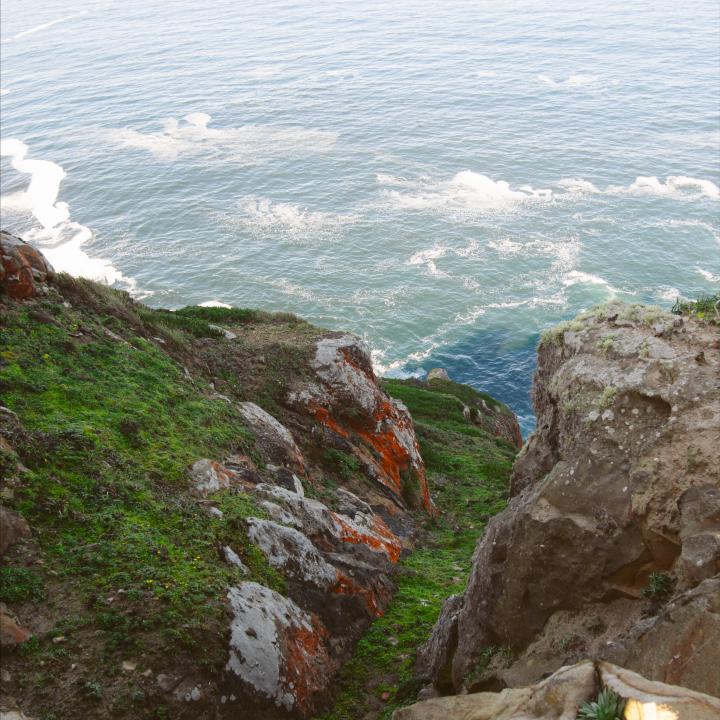The Best Things To Do In Point Reyes