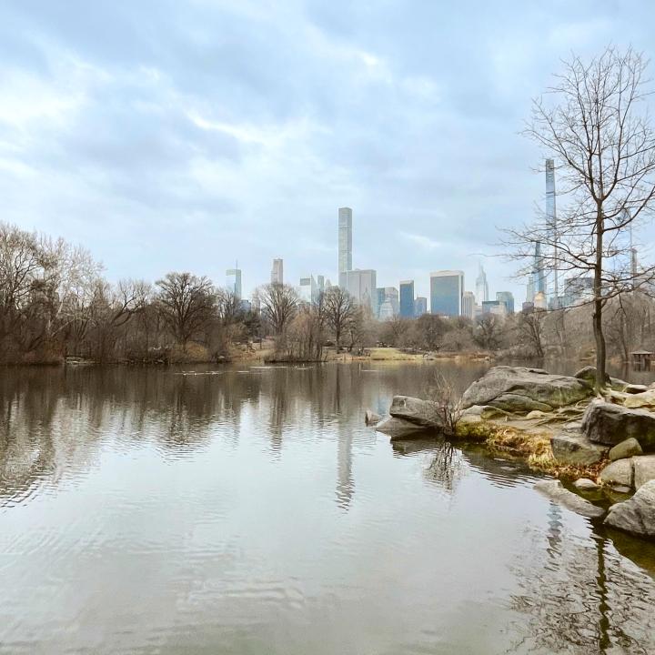 A view of the NYC skyline from Central Park