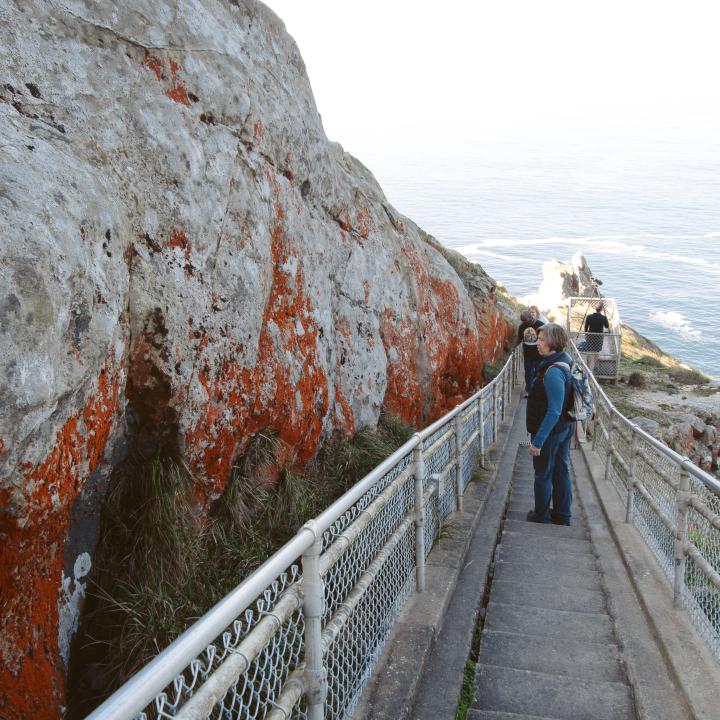 Things To Do In Point Reyes