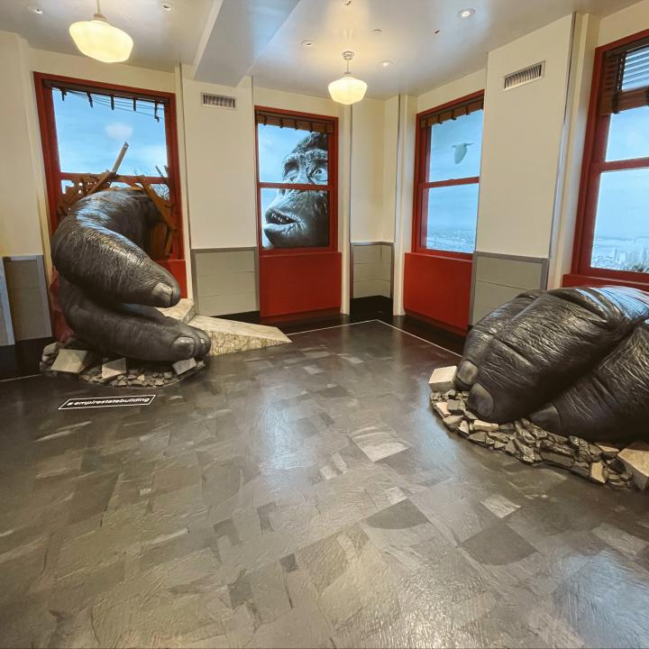 Must See In New York City