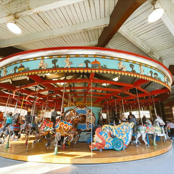 Must See In New York City