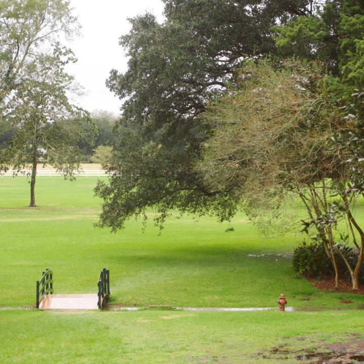 Must See in New Orleans