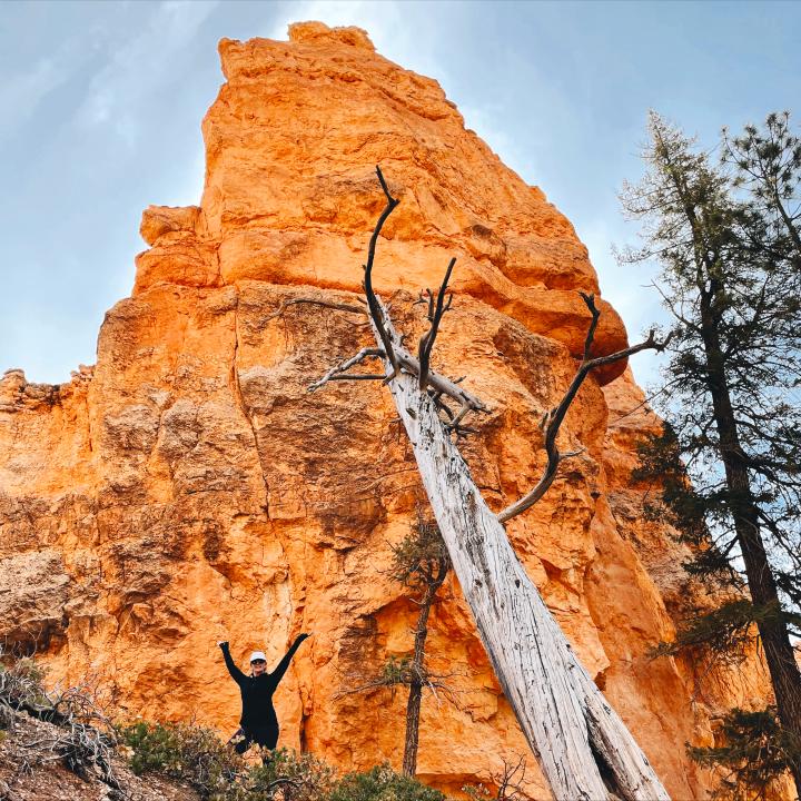 Zion and Bryce Canyon