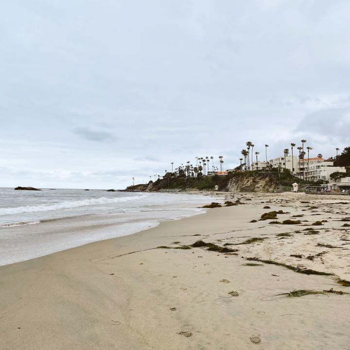 Things to do in Laguna Beach