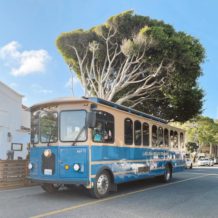 Things to do in Laguna Beach