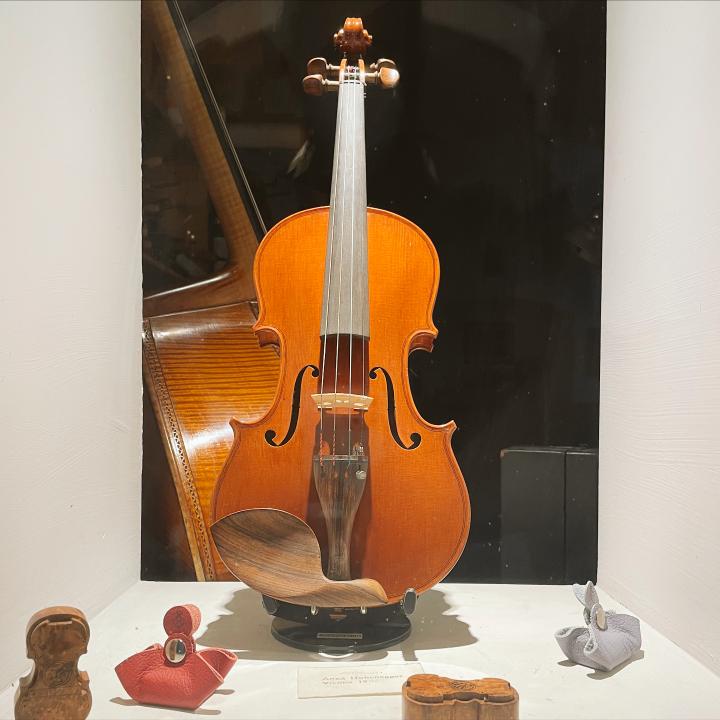 Vienna violin
