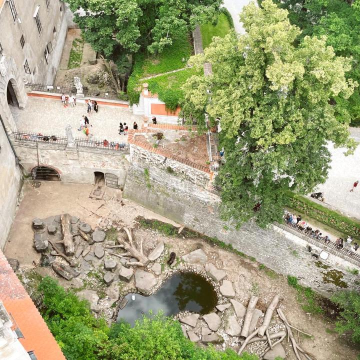 Things To Do In Cesky Krumlov- castle bears