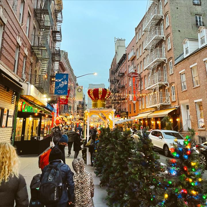 Christmas trees for sale in Little Italy NYC