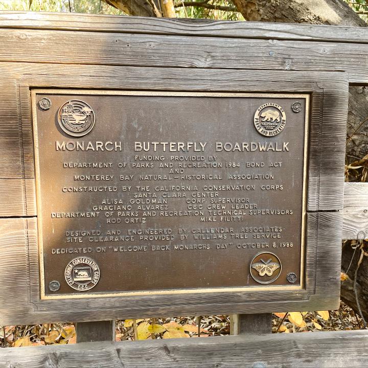 Monarch Butterfly Natural Preserve