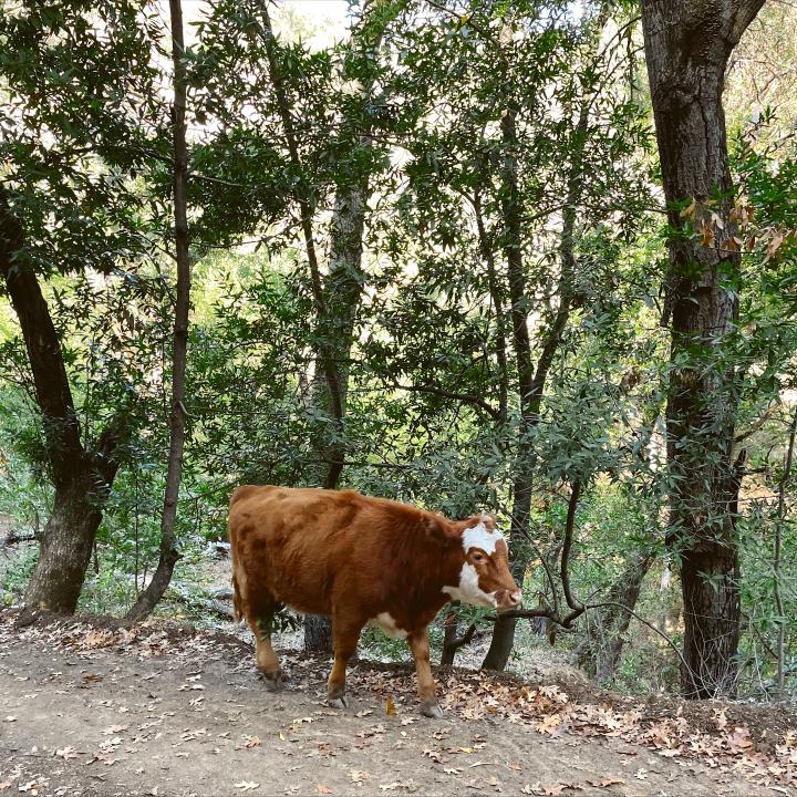 Eugene O'Neill House