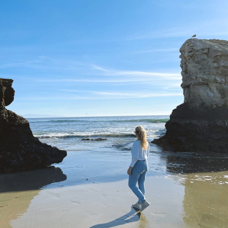 Natural Bridges Beach