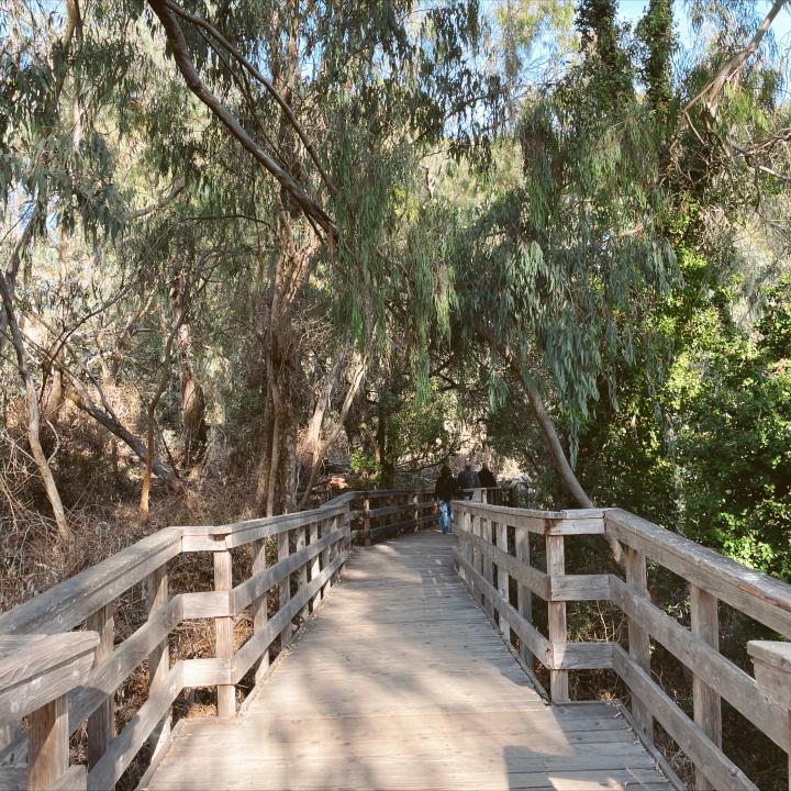 Monarch Butterfly Natural Preserve