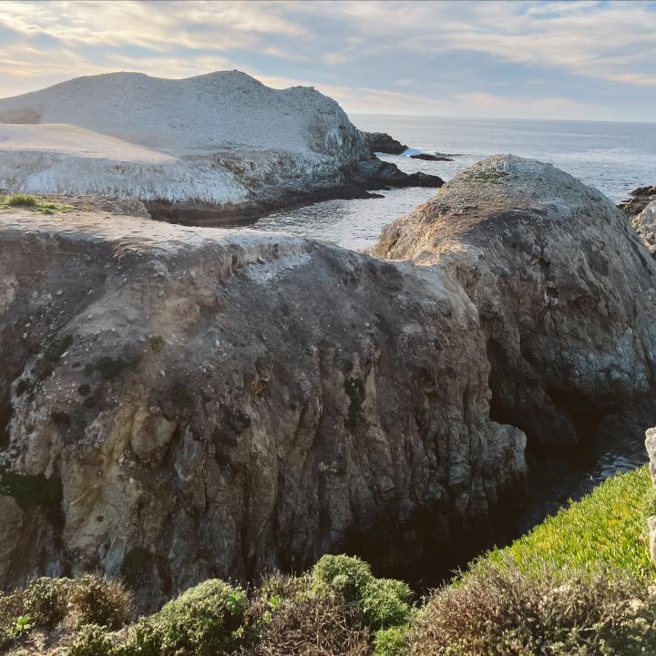 Things To Do In Point Lobos