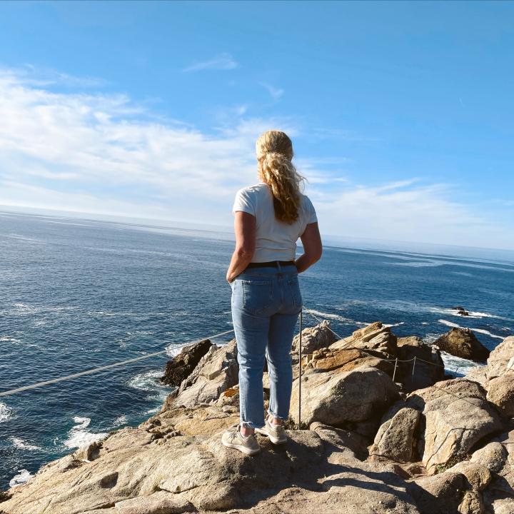Overlook in Point Lobos