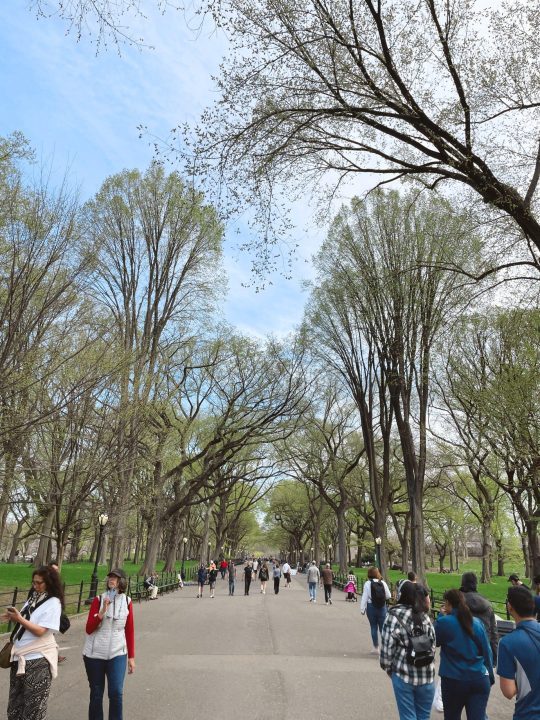 The Mall Central Park