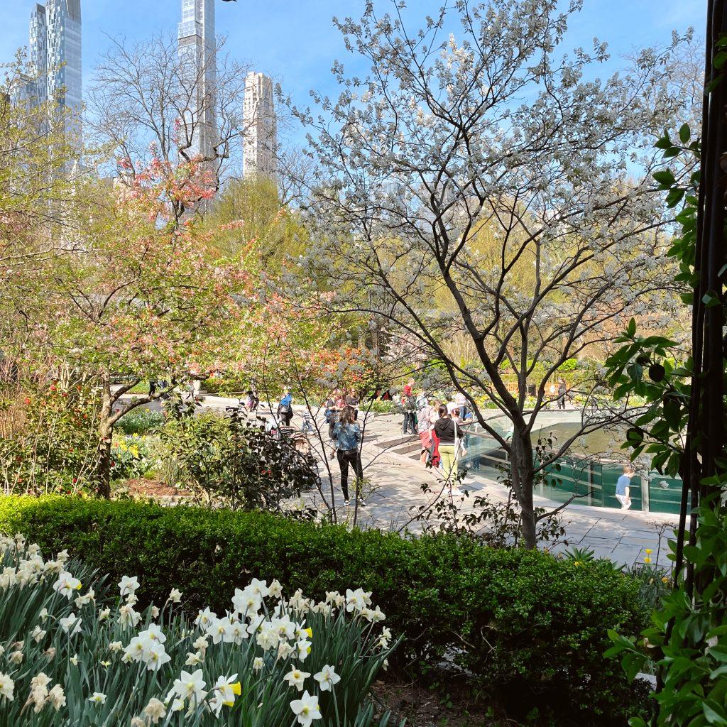 The trees and flowers turning colors in Central Park