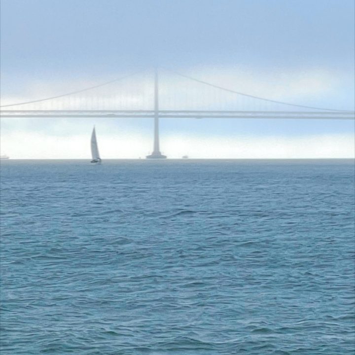 The Best San Francisco Sunset Cruise view