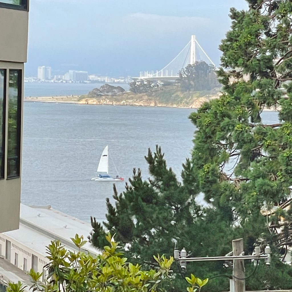 View from the Greenwich St Steps in San Francisco