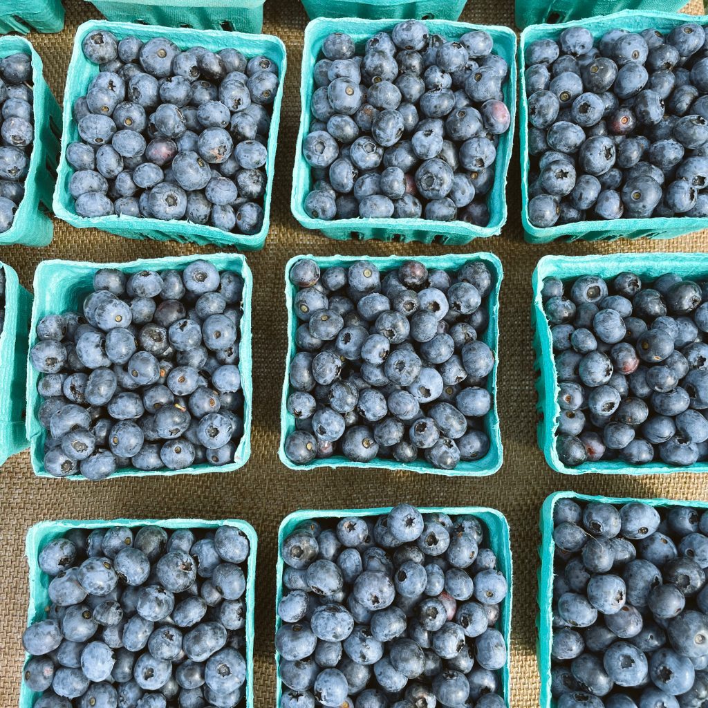 Maine Blueberries