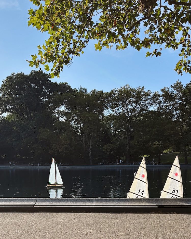 Model boats in Central Park