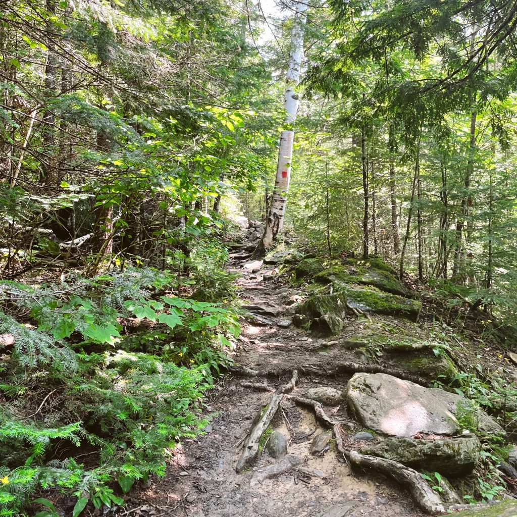 Waterfall hiking trail in Rangeley Maine