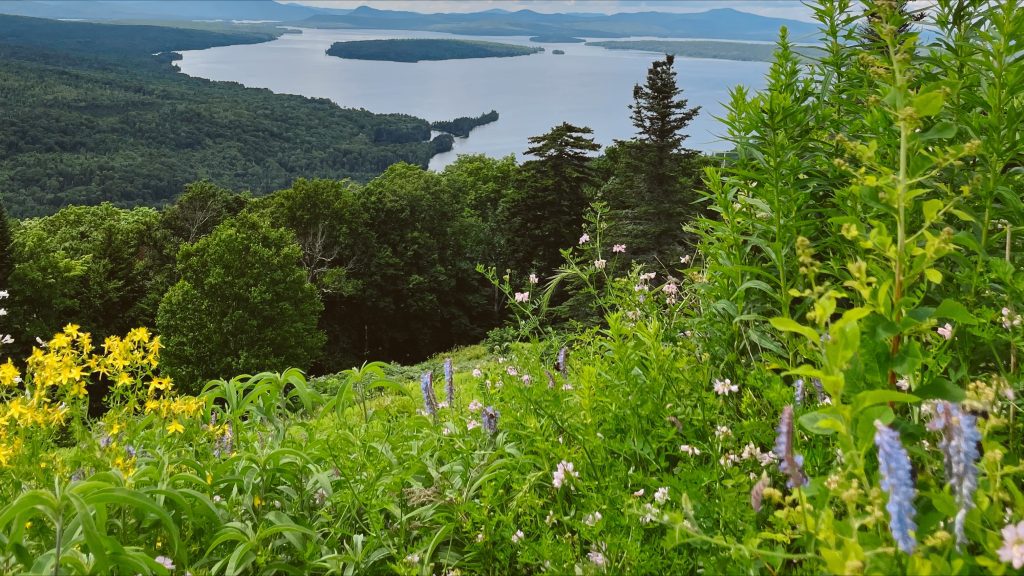 An aerial view of the Rangeley Lakes
