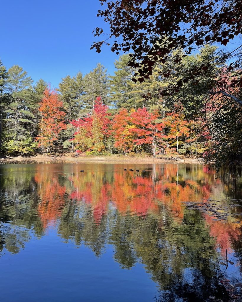Fall foliage reflecting on the water in Maine