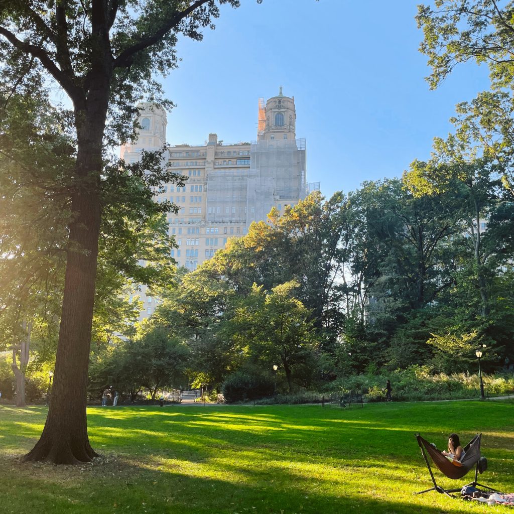 A view from Central Park of the Upper West Side, one of the safest places to stay in NYC