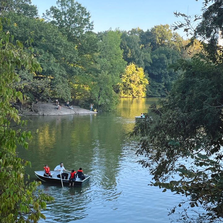 Boats in Central Park