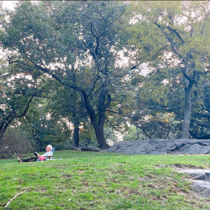 Man on a chair in Central Park