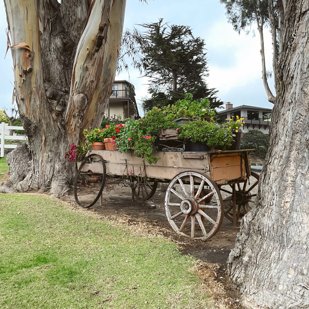 An old wagon filled with flowers at the Mission Ranch
