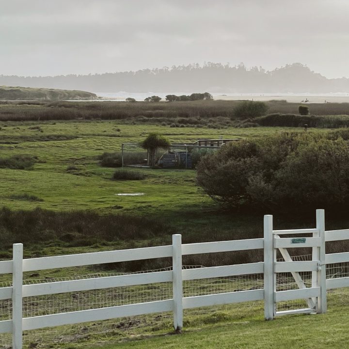 The sheep meadow at the Mission Ranch Hotel