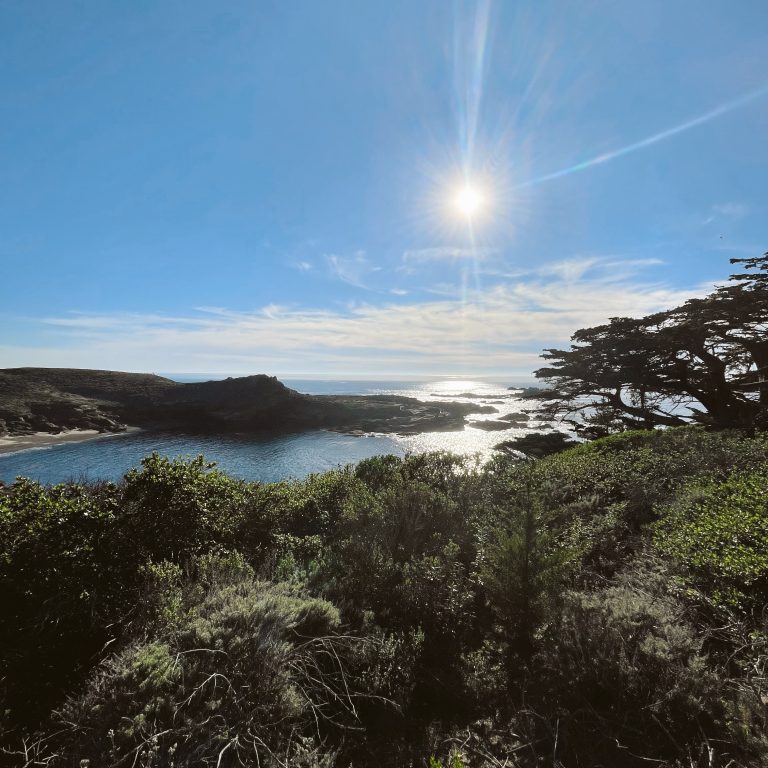 Overlooking the ocean from the 17 mile drive in Carmel